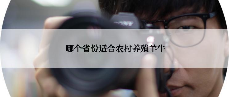  哪个省份适合农村养殖羊牛