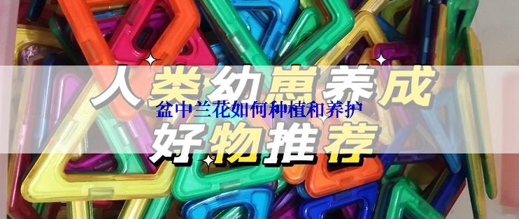 盆中兰花如何种植和养护
