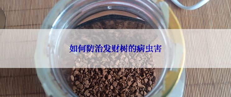 如何防治发财树的病虫害