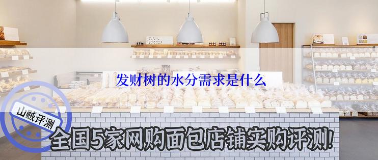  发财树的水分需求是什么