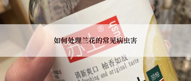 如何处理兰花的常见病虫害