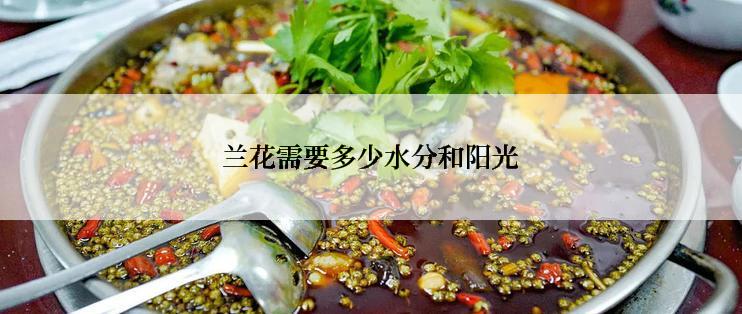 兰花需要多少水分和阳光