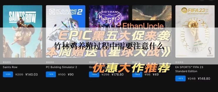 竹林鸡养殖过程中需要注意什么