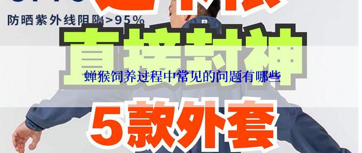  蝉猴饲养过程中常见的问题有哪些