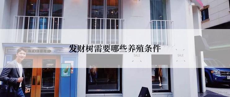 发财树需要哪些养殖条件