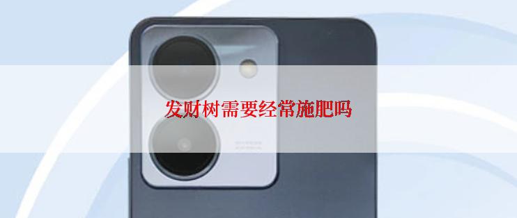 发财树需要经常施肥吗
