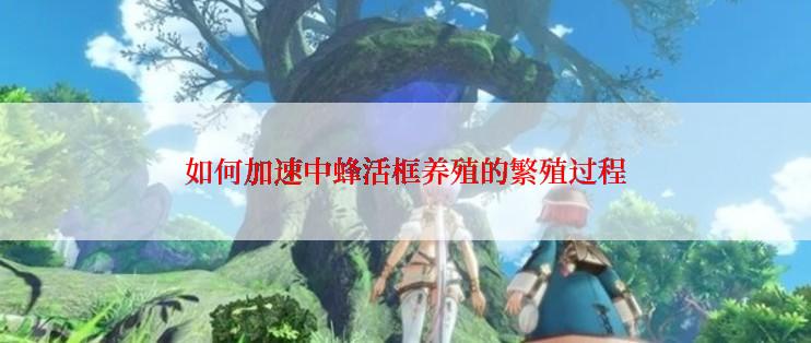 如何加速中蜂活框养殖的繁殖过程