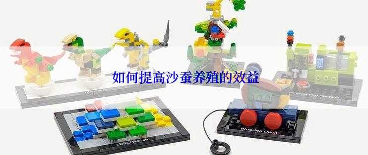  如何提高沙蚕养殖的效益