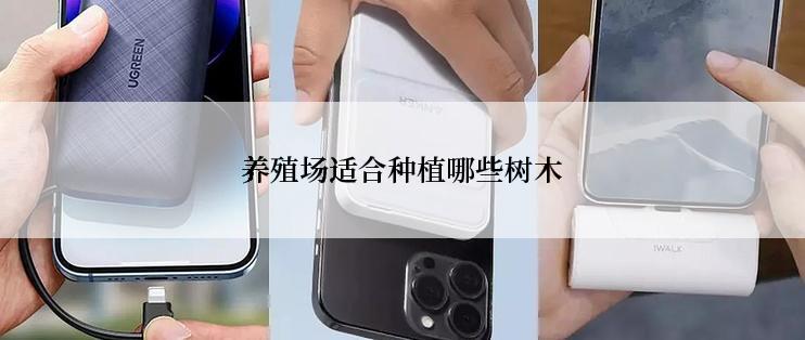 养殖场适合种植哪些树木