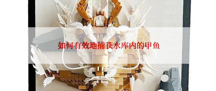  如何有效地捕获水库内的甲鱼
