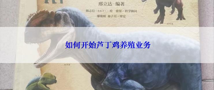  如何开始芦丁鸡养殖业务