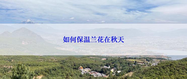 如何保温兰花在秋天