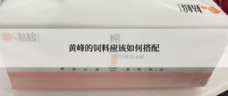 黄峰的饲料应该如何搭配