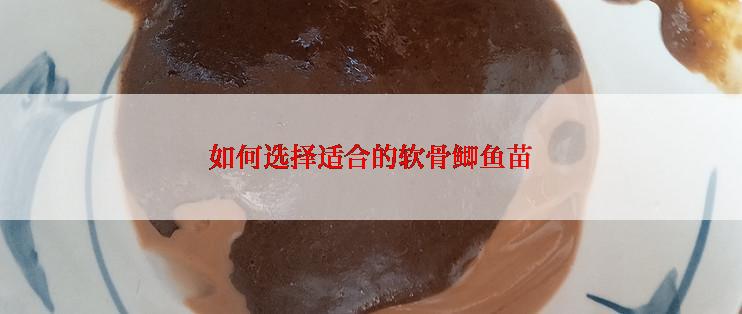 如何选择适合的软骨鲫鱼苗