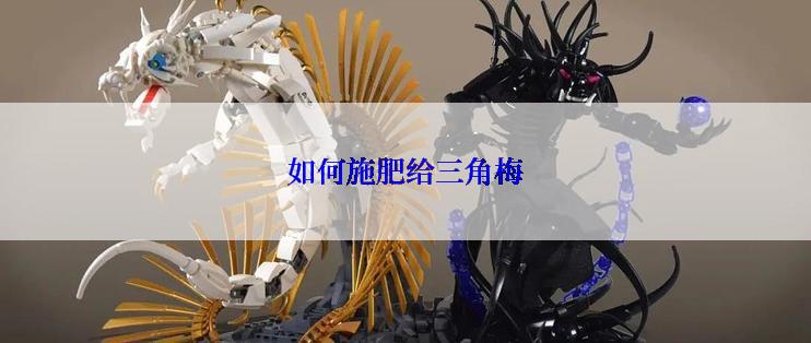如何施肥给三角梅