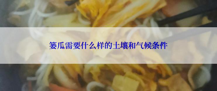 篓瓜需要什么样的土壤和气候条件