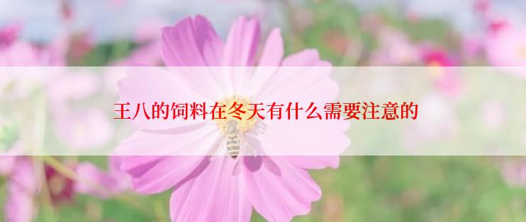  王八的饲料在冬天有什么需要注意的