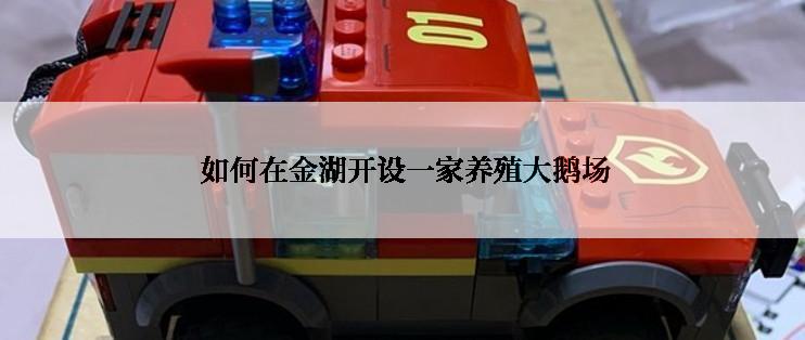  如何在金湖开设一家养殖大鹅场