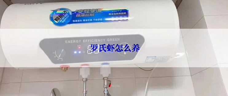  罗氏虾怎么养