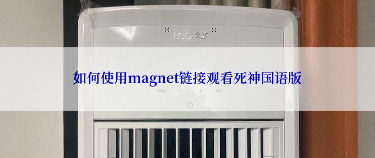 如何使用magnet链接观看死神国语版