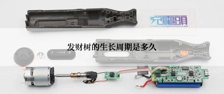 发财树的生长周期是多久