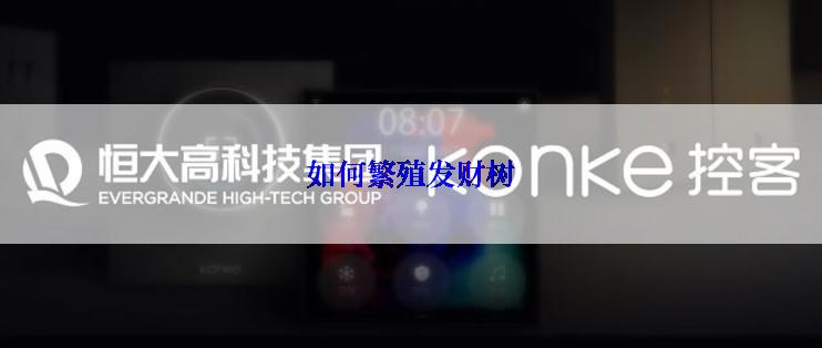 如何繁殖发财树