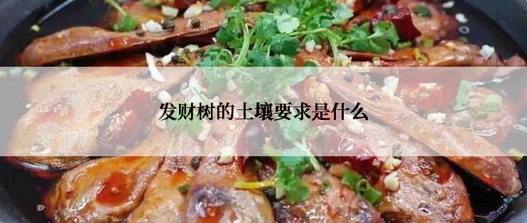 发财树的土壤要求是什么