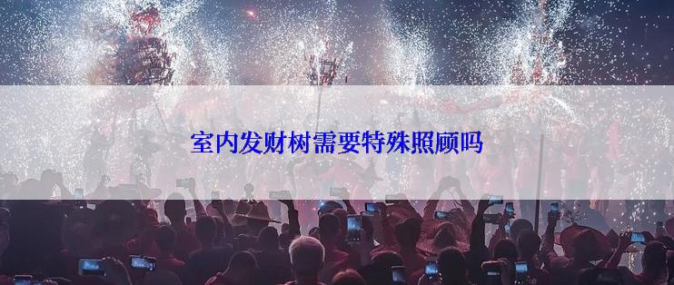 室内发财树需要特殊照顾吗