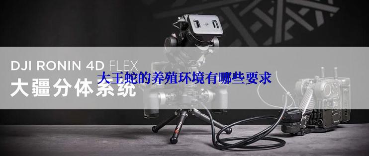 大王蛇的养殖环境有哪些要求