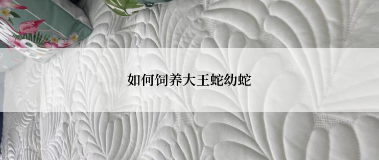 如何饲养大王蛇幼蛇