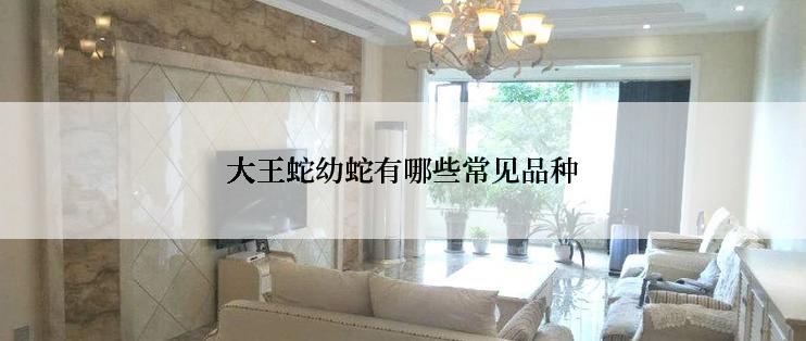 大王蛇幼蛇有哪些常见品种