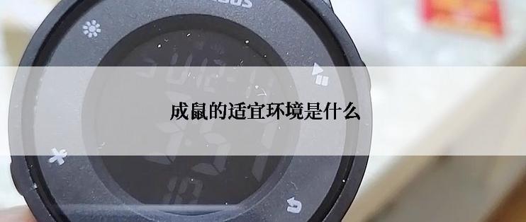  成鼠的适宜环境是什么