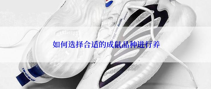 如何选择合适的成鼠品种进行养