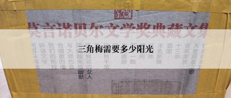 三角梅需要多少阳光