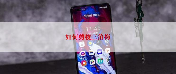 如何剪枝三角梅