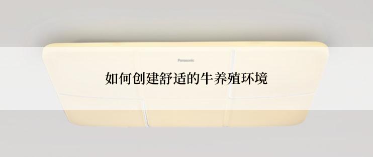 如何创建舒适的牛养殖环境