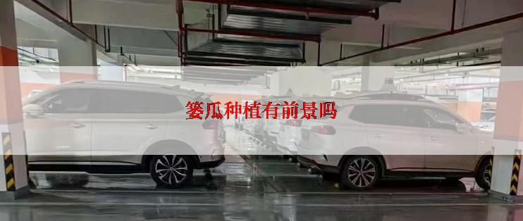 篓瓜种植有前景吗