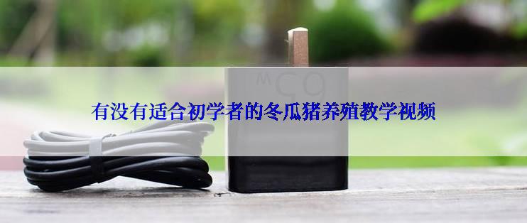 有没有适合初学者的冬瓜猪养殖教学视频