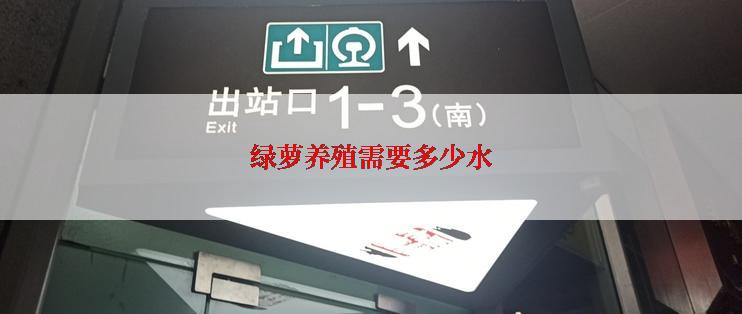 绿萝养殖需要多少水