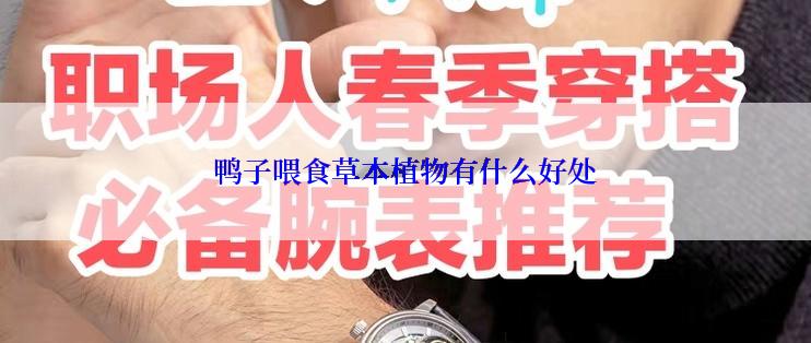 鸭子喂食草本植物有什么好处