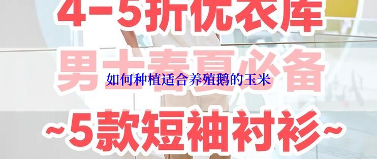 如何种植适合养殖鹅的玉米