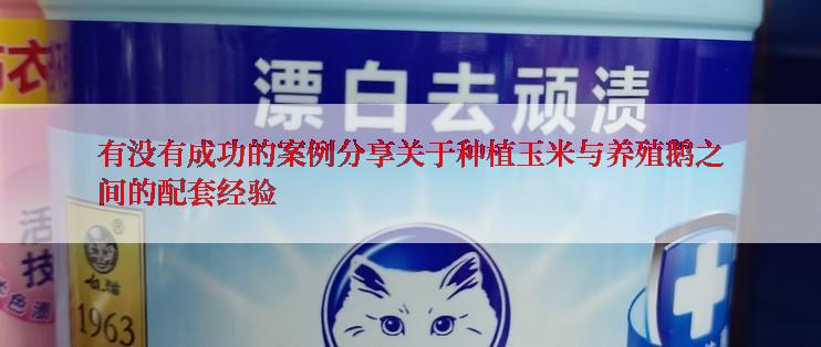 有没有成功的案例分享关于种植玉米与养殖鹅之间的配套经验