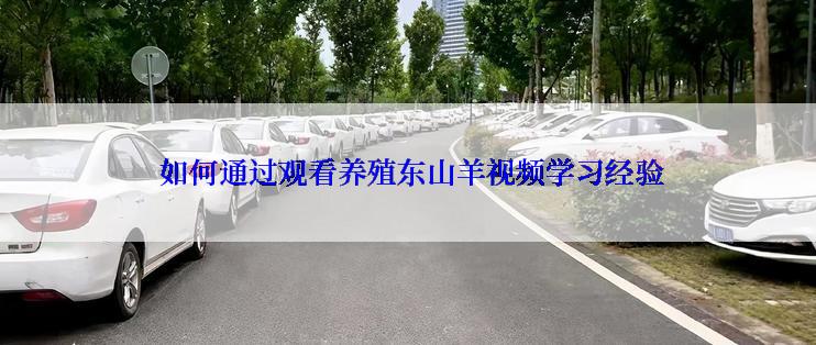  如何通过观看养殖东山羊视频学习经验