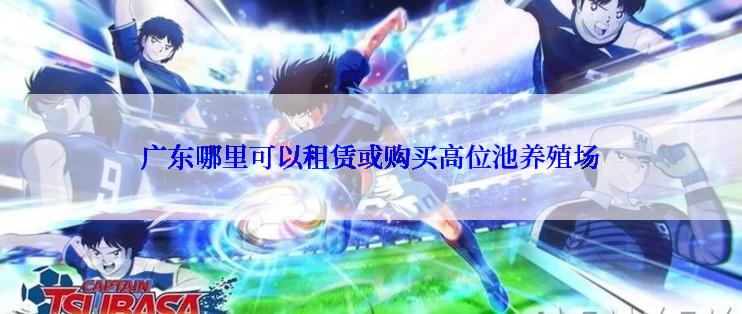 广东哪里可以租赁或购买高位池养殖场