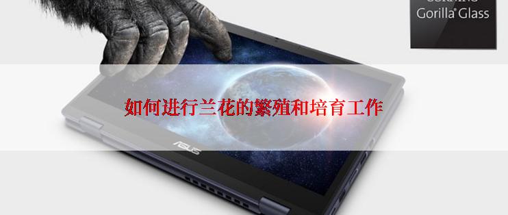 如何进行兰花的繁殖和培育工作