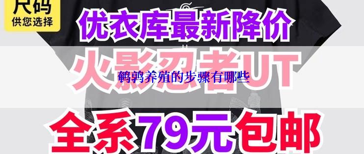 鹌鹑养殖的步骤有哪些