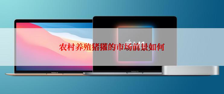 农村养殖猪獾的市场前景如何