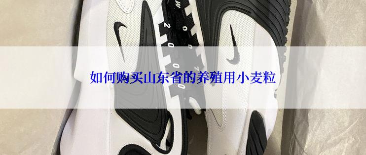 如何购买山东省的养殖用小麦粒