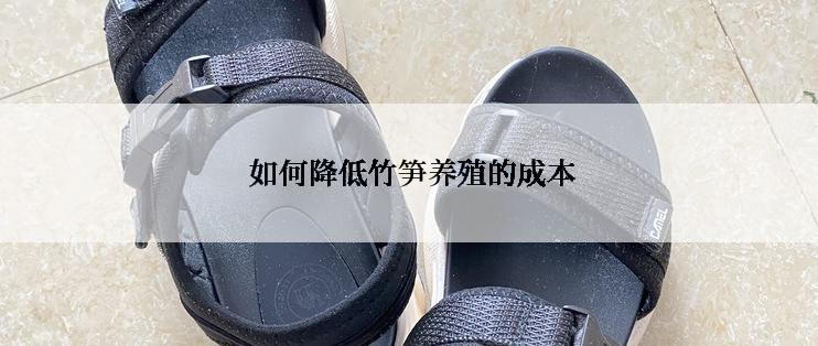  如何降低竹笋养殖的成本