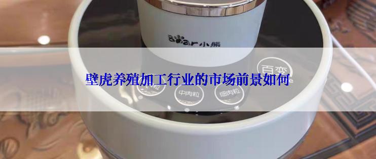 壁虎养殖加工行业的市场前景如何